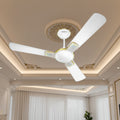 Havells Enticer White Art